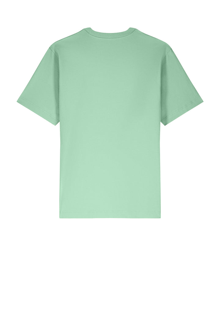 Rear View of MistyJade Stanley/Stella Unisex Freestyler Heavyweight Tee SXU018